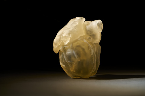 3D Printed Heart on J750 Digital Anatomy Printer